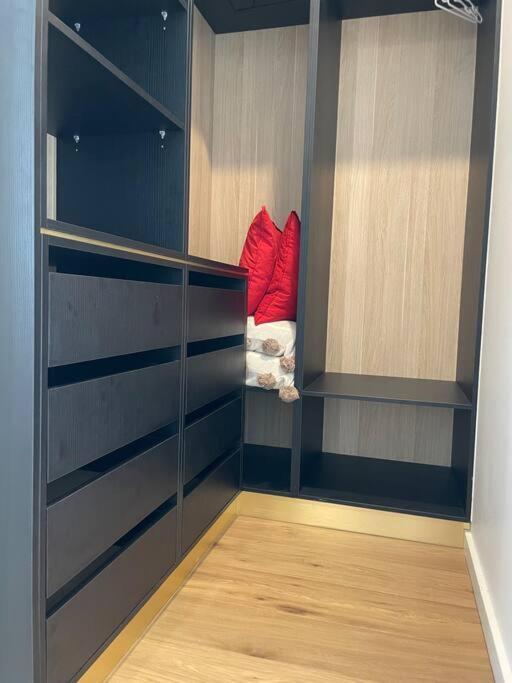 Amazing Penthouse In Waterloo Sydney